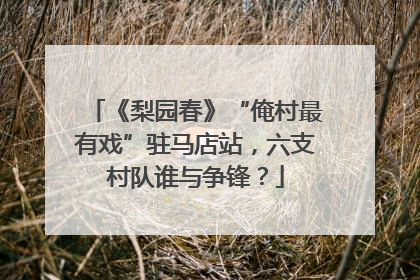 《梨园春》“俺村最有戏”驻马店站，六支村队谁与争锋？