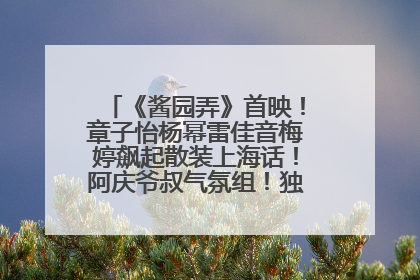 《酱园弄》首映！章子怡杨幂雷佳音梅婷飙起散装上海话！阿庆爷叔气氛组！独独没见他……