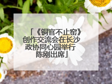 《铜官不止窑》创作交流会在长沙政协同心园举行 陈刚出席