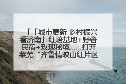 「城市更新 乡村振兴看济南」红培基地+野奢民宿+玫瑰秘境……打开莱芜“齐鲁情映山红片区”的破圈秘籍