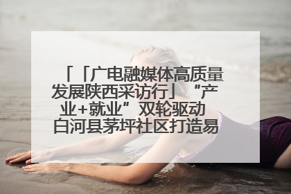 「广电融媒体高质量发展陕西采访行」“产业+就业”双轮驱动 白河县茅坪社区打造易地搬迁后扶新样本