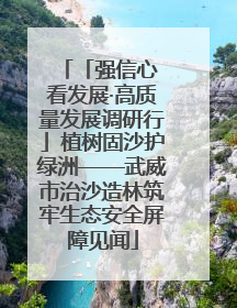 「强信心 看发展·高质量发展调研行」植树固沙护绿洲——武威市治沙造林筑牢生态安全屏障见闻