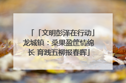 「文明彭泽在行动」龙城镇：桑果盈筐情绵长 育践五柳报春晖