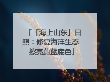 「海上山东」日照：修复海洋生态 擦亮蔚蓝底色