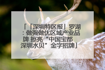 「深圳特区报」罗湖：做强做优区域产业品牌 擦亮“中国宝都 深圳水贝”金字招牌