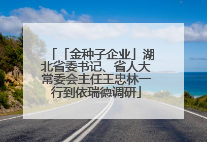 「金种子企业」湖北省委书记、省人大常委会主任王忠林一行到依瑞德调研