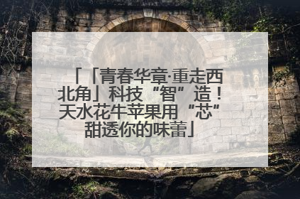 「青春华章·重走西北角」科技“智”造！天水花牛苹果用“芯”甜透你的味蕾