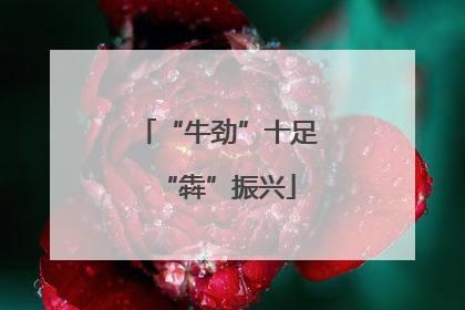 “牛劲”十足“犇”振兴