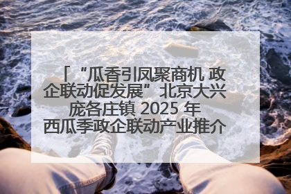 “瓜香引凤聚商机 政企联动促发展”北京大兴庞各庄镇 2025 年西瓜季政企联动产业推介活动圆满举行