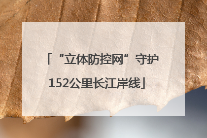 “立体防控网”守护152公里长江岸线