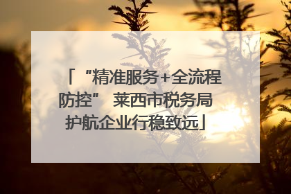 “精准服务+全流程防控” 莱西市税务局护航企业行稳致远
