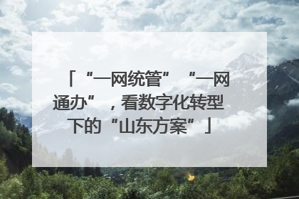 “一网统管”“一网通办”，看数字化转型下的“山东方案”