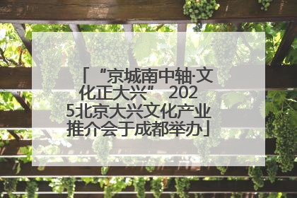 “京城南中轴·文化正大兴” 2025北京大兴文化产业推介会于成都举办