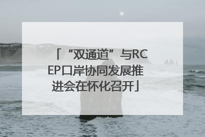 “双通道”与RCEP口岸协同发展推进会在怀化召开