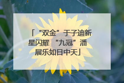 “双金”于子迪新星闪耀 “九冠”潘展乐如日中天