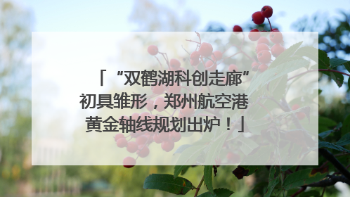 “双鹤湖科创走廊”初具雏形，郑州航空港黄金轴线规划出炉！