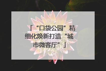 “口袋公园”精细化焕新打造“城市微客厅”