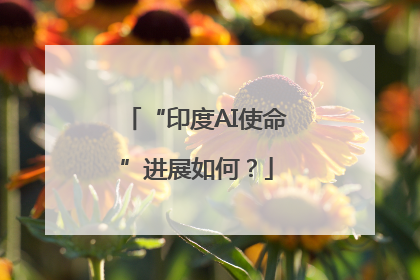 “印度AI使命”进展如何？