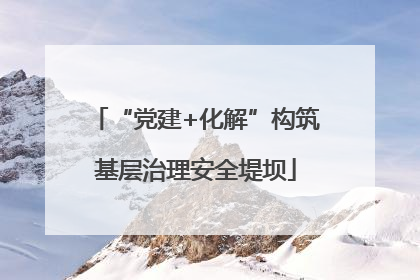 “党建+化解”构筑基层治理安全堤坝