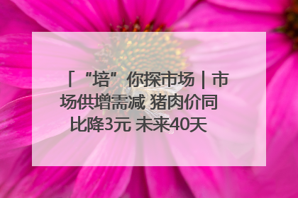 “培”你探市场｜市场供增需减 猪肉价同比降3元 未来40天便宜猪肉敞开吃