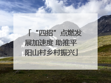 “四招”点燃发展加速度 助推平阳山村乡村振兴
