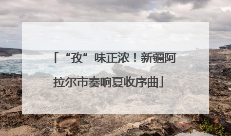 “孜”味正浓！新疆阿拉尔市奏响夏收序曲