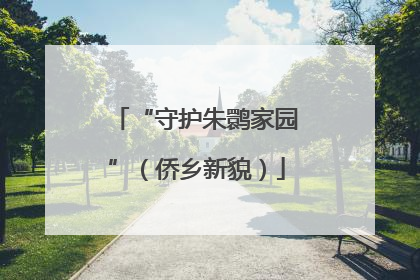 “守护朱鹮家园”（侨乡新貌）