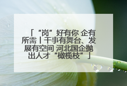 “岗”好有你 企有所需丨干事有舞台、发展有空间 河北国企抛出人才“橄榄枝”