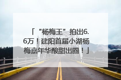 “杨梅王”拍出6.6万！建阳首届小湖杨梅嘉年华酸甜出圈！