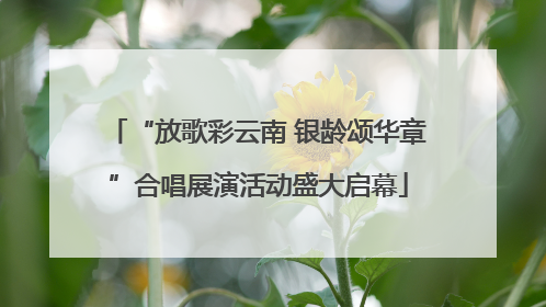 “放歌彩云南 银龄颂华章”合唱展演活动盛大启幕