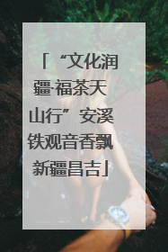 “文化润疆·福茶天山行”安溪铁观音香飘新疆昌吉