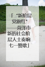 “新阶层 党旗红”——菏泽市新的社会阶层人士奏响七一赞歌