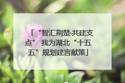 “智汇荆楚·共建支点” 我为湖北“十五五”规划建言献策