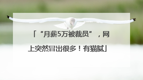 “月薪5万被裁员”，网上突然冒出很多！有猫腻