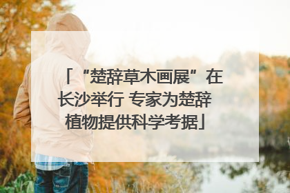 “楚辞草木画展”在长沙举行 专家为楚辞植物提供科学考据