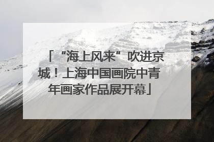 “海上风来”吹进京城！上海中国画院中青年画家作品展开幕