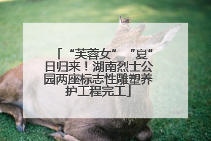 “芙蓉女”“夏”日归来！湖南烈士公园两座标志性雕塑养护工程完工