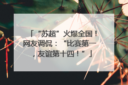 “苏超”火爆全国！网友调侃：“比赛第一，友谊第十四！”