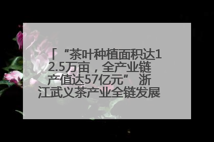 “茶叶种植面积达12.5万亩，全产业链产值达57亿元” 浙江武义茶产业全链发展“加速度”