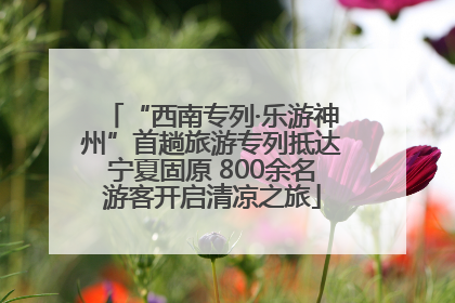 “西南专列·乐游神州”首趟旅游专列抵达宁夏固原 800余名游客开启清凉之旅