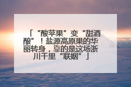 “酸苹果”变“甜酒酿”！盐源高原果的华丽转身，靠的是这场浙川千里“联姻”