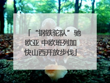 “钢铁驼队”驰欧亚 中欧班列加快山西开放步伐