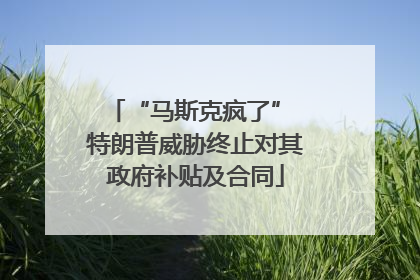 “马斯克疯了” 特朗普威胁终止对其政府补贴及合同