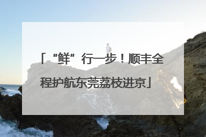 “鲜”行一步！顺丰全程护航东莞荔枝进京