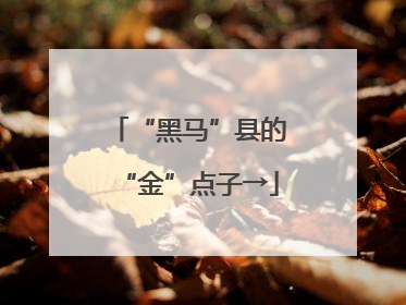 “黑马”县的“金”点子→