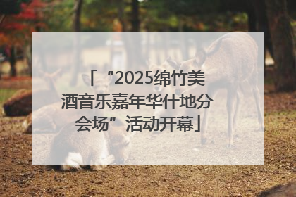 “2025绵竹美酒音乐嘉年华什地分会场”活动开幕