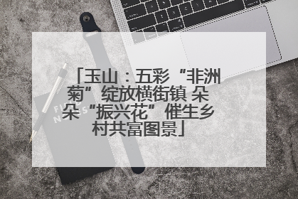 玉山：五彩“非洲菊”绽放横街镇 朵朵“振兴花”催生乡村共富图景