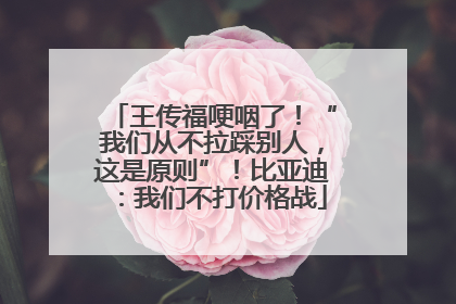 王传福哽咽了！“我们从不拉踩别人，这是原则”！比亚迪：我们不打价格战