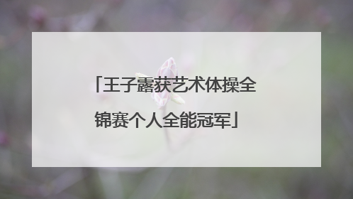 王子露获艺术体操全锦赛个人全能冠军