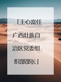 王心富任广西壮族自治区党委组织部部长